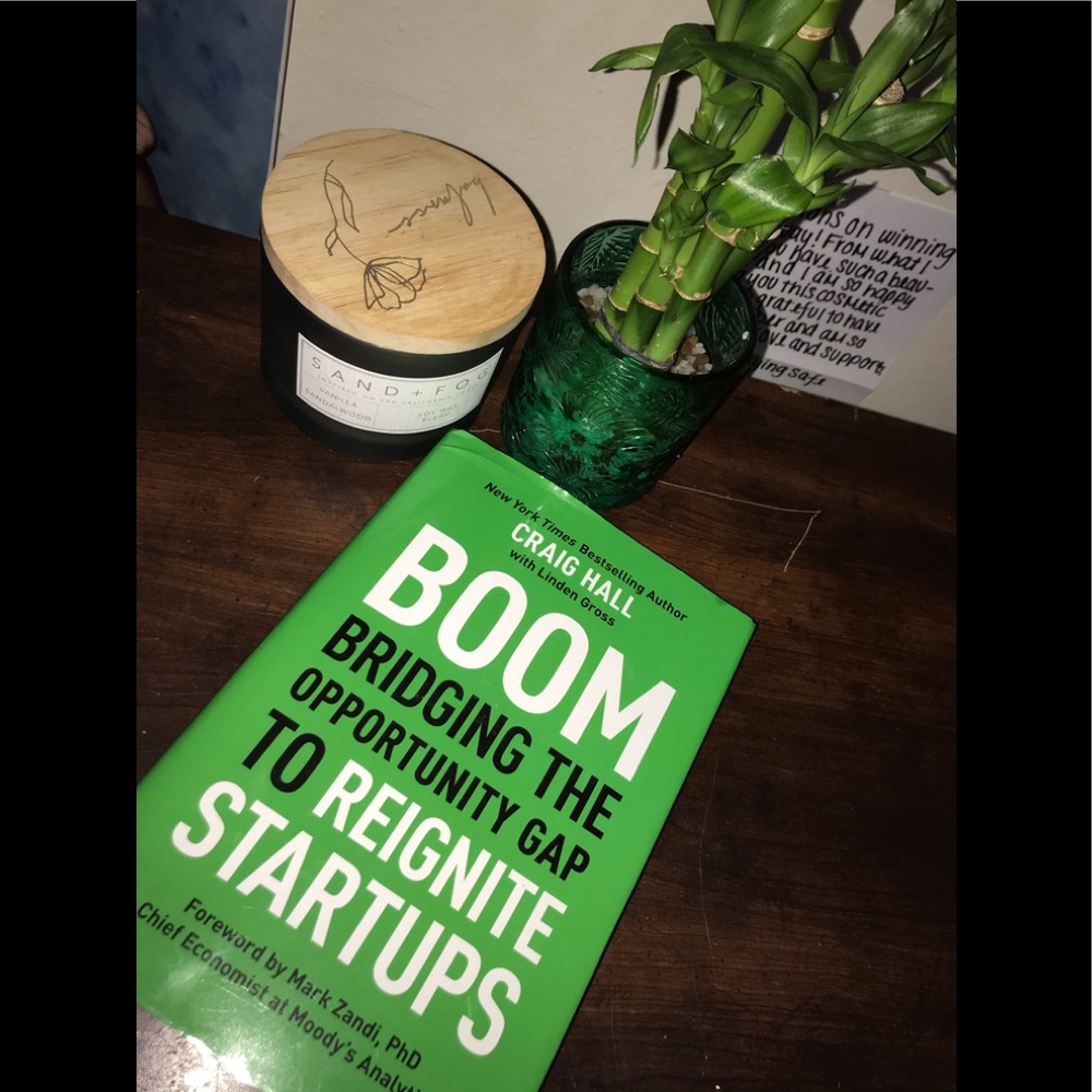 Craig Hall Book On The Opportunity Gap In Startups
